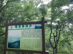-莫干山风景区