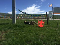 -老成都川菜馆·暑期大学生勤工俭学旅游基地