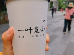 -一叶觅山(半边街店)