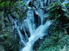 -莫里热带雨林景区