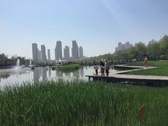 -前关湿地公园