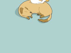 -子曰禮·茶居(三元里远景大厦店)