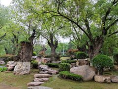 -中国唐苑