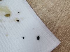 -曹宝林砂锅麻辣烫(星光路店)