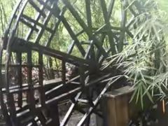 -大屏嶂森林公园