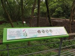 -西湖风景区-江洋畈生态公园