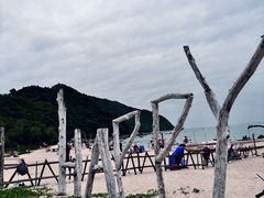 -西涌国际滨海旅游区