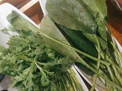 -手选潮汕鲜牛肉火锅(二七广场店)