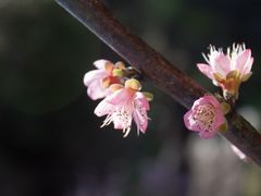 -花溪风景区