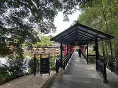 -侨美·唐荔园·40年地道粤菜