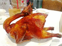 -稻香酒家·33年老字号·港式粤菜(富邦中心店)