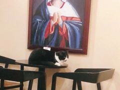 -猫友咖啡店(玉林西路店)