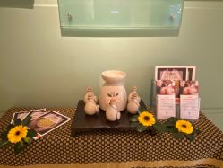 点击看大图 -悦椿SPA