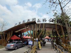 -天鹿湖森林公园