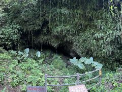 -海口火山口国家地质公园