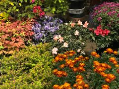 -双季花艺园艺市场(浦东店)