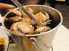 一桶黄蚬-渔娘渔家丹东海鲜(东直门店)