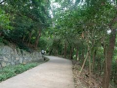 -紫金山山顶公园