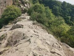 -终南山国家森林公园