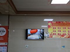 -周震馄饨