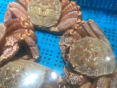 -盒马鲜生(杭州运河上街店)