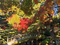 -京都御所