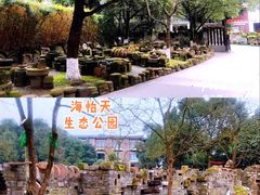 -重庆园博园
