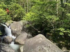 -大围山国家森林公园