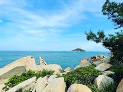 -南澳岛打卡果汁冰公司