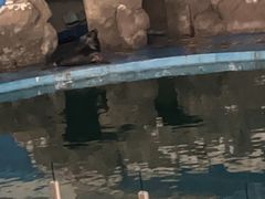 -苏州海洋馆