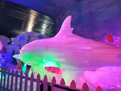 -世界之窗阿尔卑斯冰雪世界