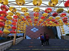 -重庆国际马戏城