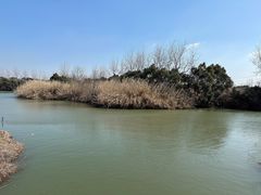 -沙家浜风景区