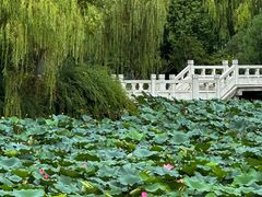 -石湖景区