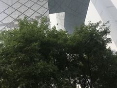 -中央广播电视总台(光华路办公区)