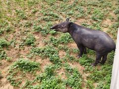 -石家庄市动物园