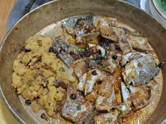 -洞密园美食城(富华路店)