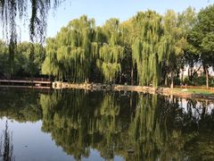 -玲珑塔公园