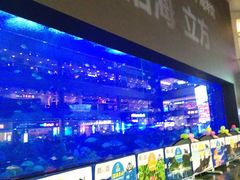 -成都浩海立方海洋公园