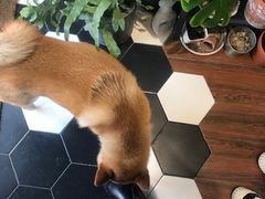 -About Bistro關於·泰式家庭料理