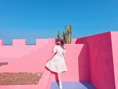 -漳州滨海火山岛自然生态风景区