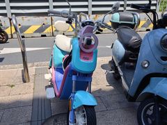 -极限PLAY运动娱乐新世界·团建派对潮玩休闲馆·室内蹦极高空游乐园