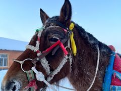 -北极村旅游风景区