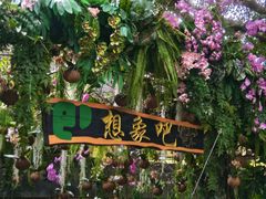 -野象谷景区