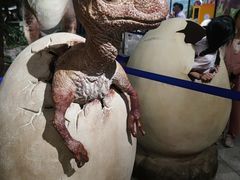 -湖南省地质博物馆