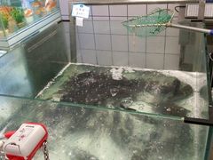 android_upload_pic-大润发(梅兰东路店)