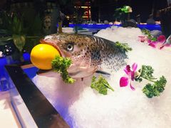 -加餐海鲜自助(宝龙一城店)