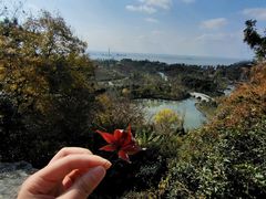 -狼山风景名胜区