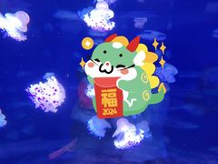 -欢乐海岸海洋奇梦馆
