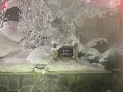 -汉拿山温泉度假酒店